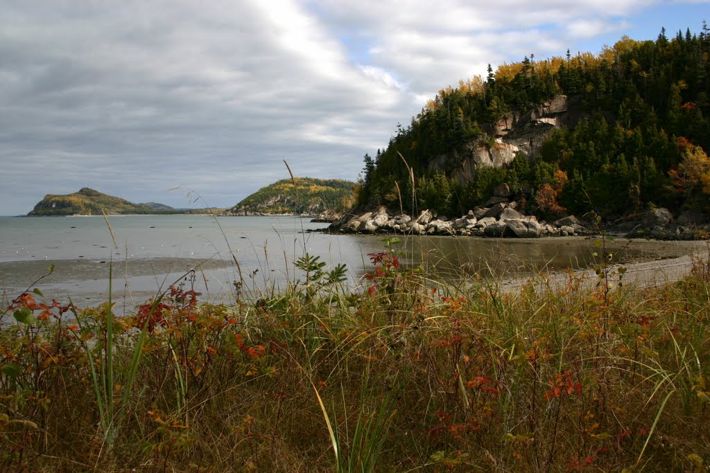 Parc du Bic by iceman_67fr