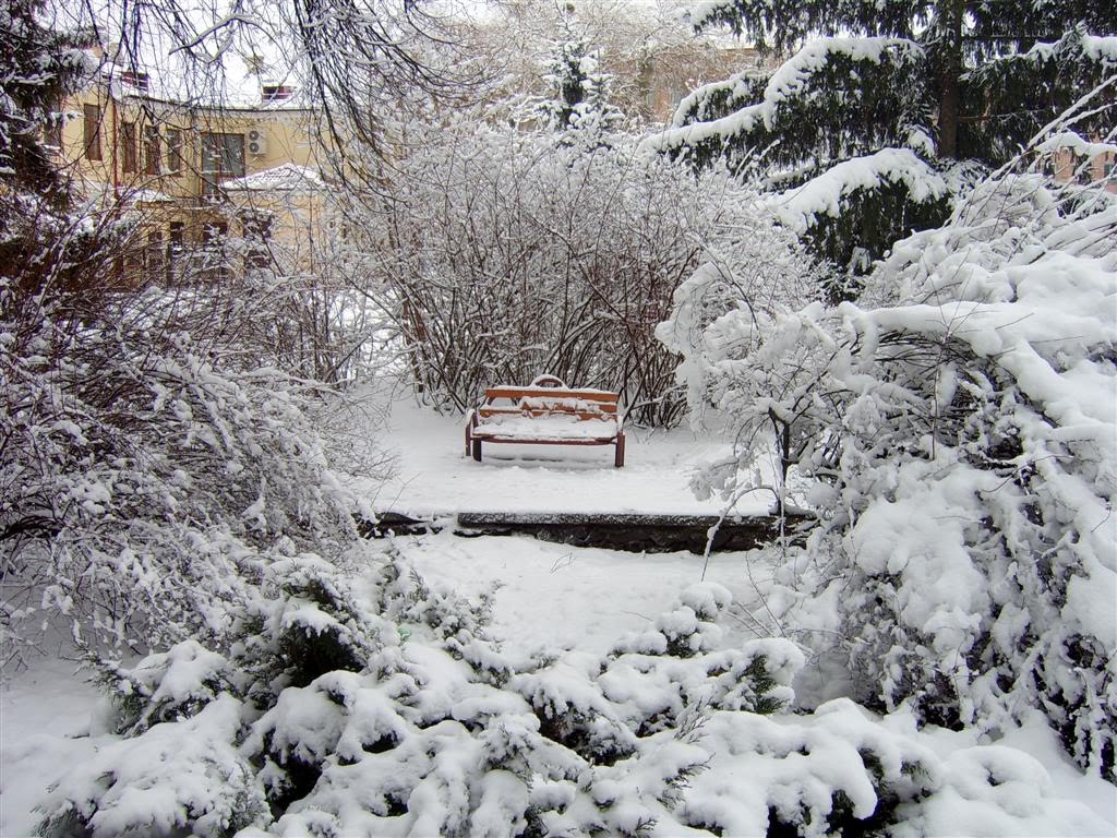 Чарівна лавочка в зимовому парку_magic winter park bench by *irma*