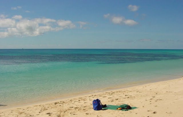 Beach at Michaelmas Cay by pgmark