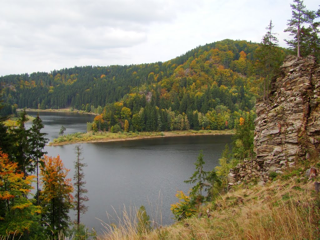 Přehrada Vír - borovice by Pavel Josifek