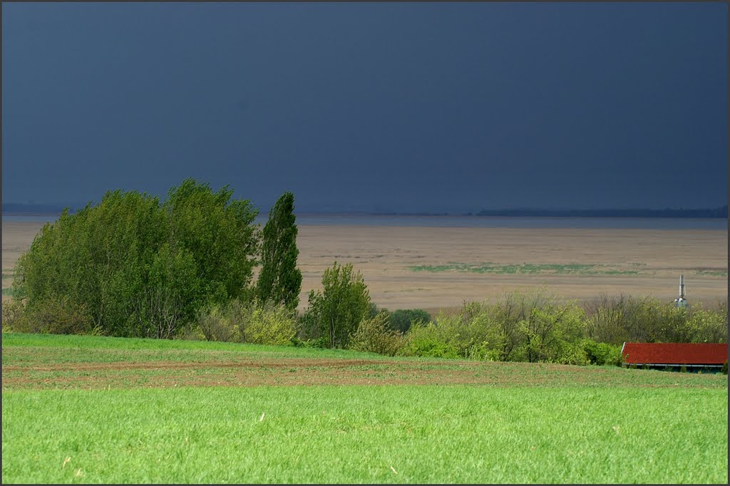 A Vihar szele by János Nagy