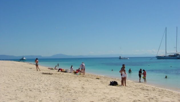 Beach at Michaelmas Cay by pgmark