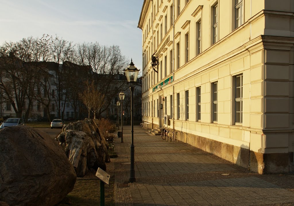 Naturkundemuseum by Appaloosa_LE