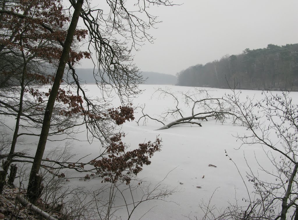 Berlin - Winter am Schlachtensee by clauso