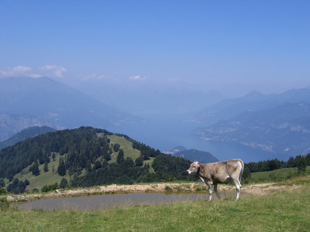 Vista su Bellagio dal colle San Primo by pinkpink