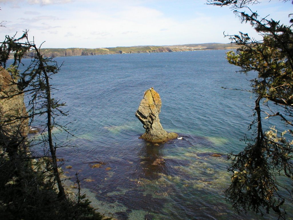 Trinity Bay Newfoundland by susanwillett