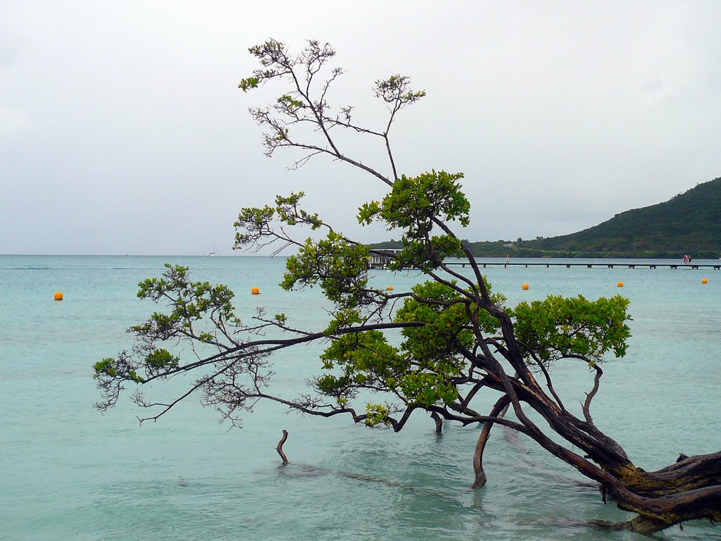 MARTINIQUE Club Med "Les Boucaniers" 01 2011 by ¤¤¤ DanyFischer ¤¤¤