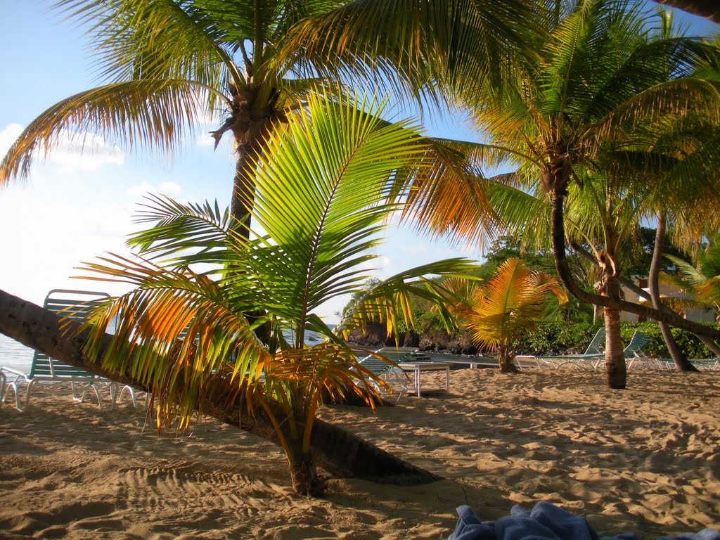 Late afternoon on Mermaid Beach by geogeek