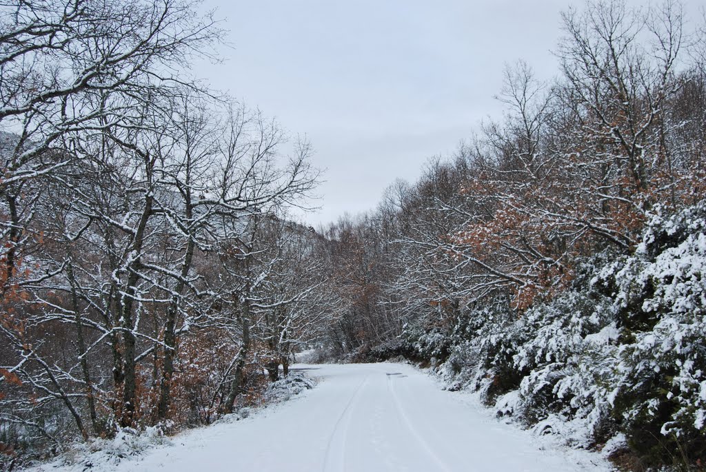 Invierno. Requejo de Sanabria by acf-za