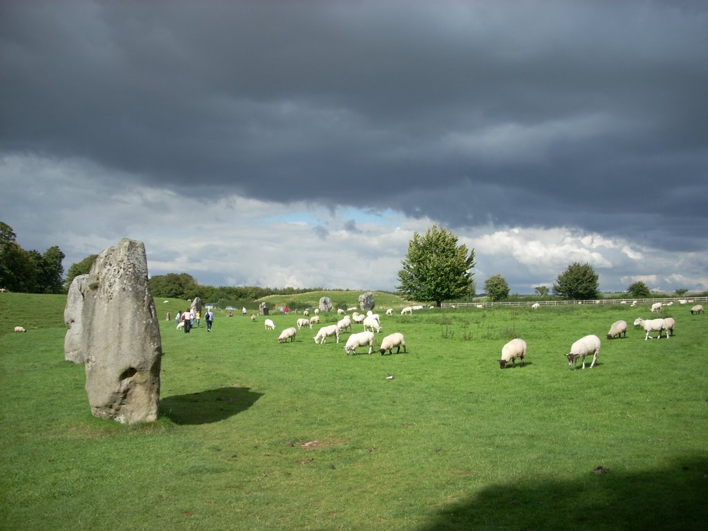 Avebury stone circle by Premier