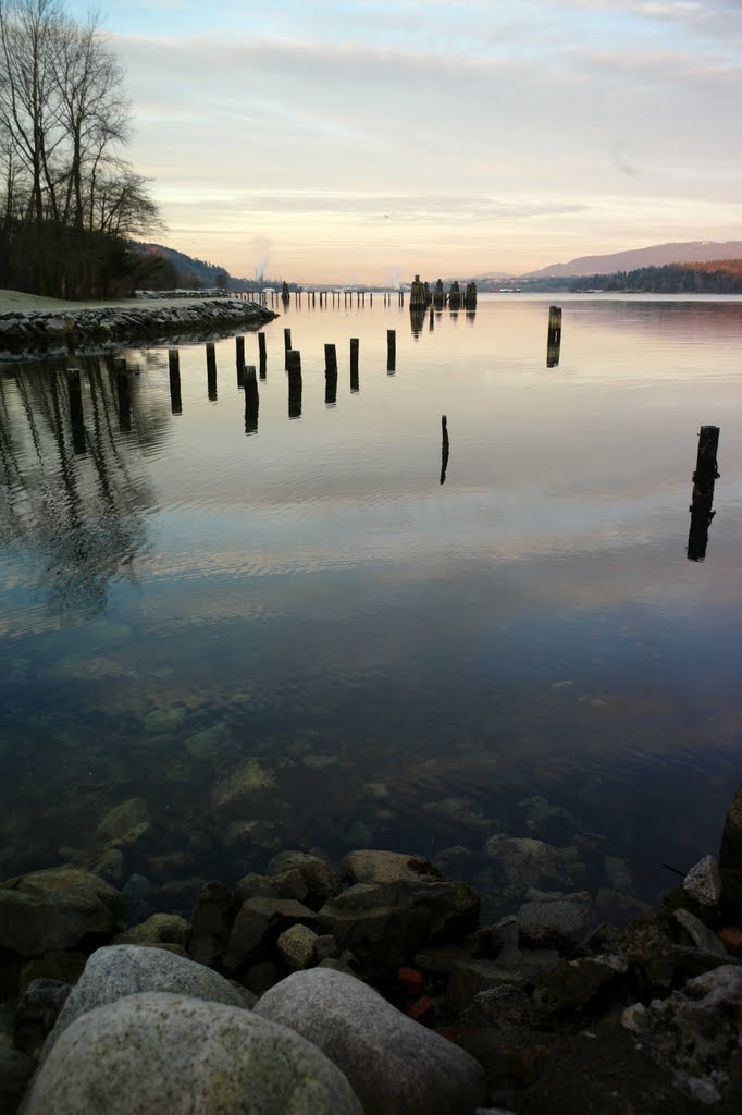 Barnet Marine park by Fred Leung Yiu Kong