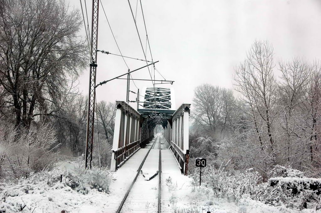 Železnički most na Moravi - Ćuprija by Teča sa Dunava