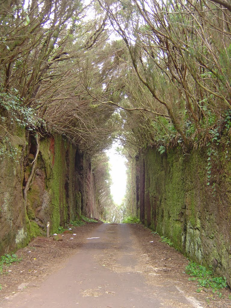 "durch diese hohle Gasse ..... " - sind wir gegangen by R.Seifert