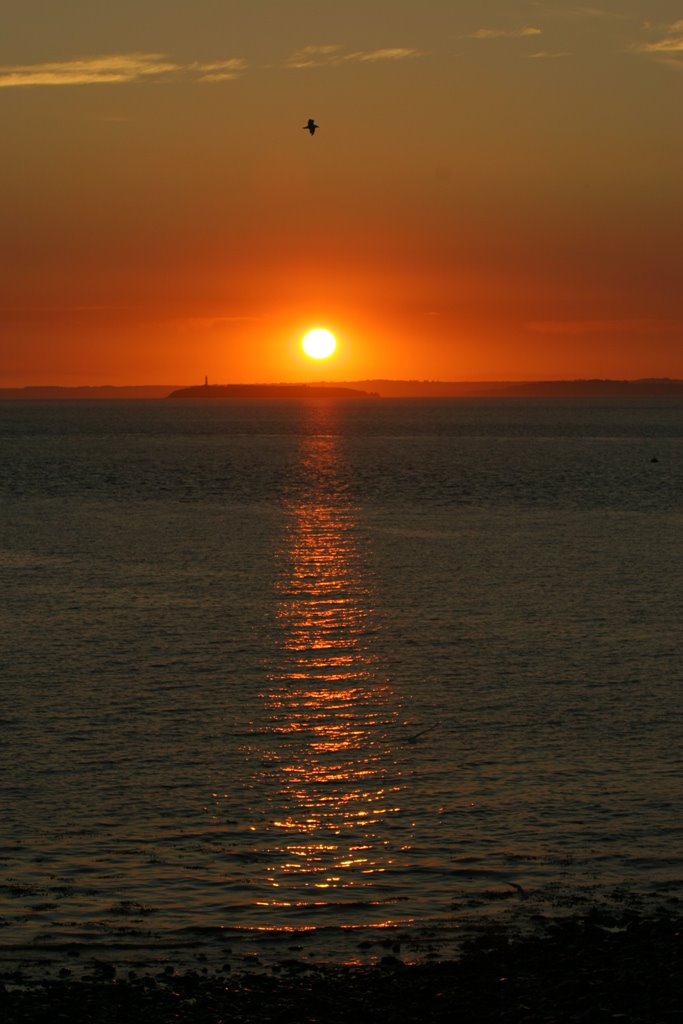 Flat Holm by JerryLanfear