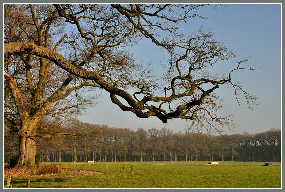 Landgoed Ampsen by Jan Visser