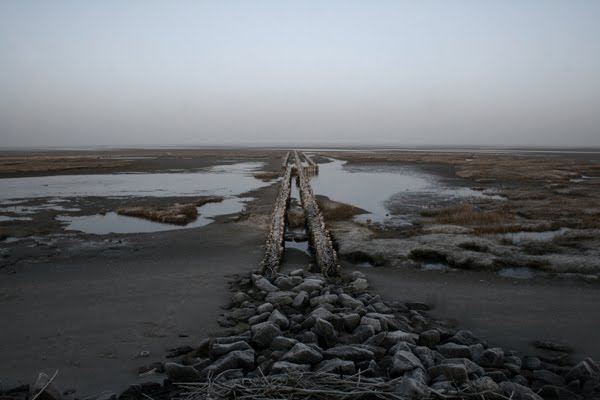 Tetenbüll Salzwiesen im Winter 2010 by Tidehub