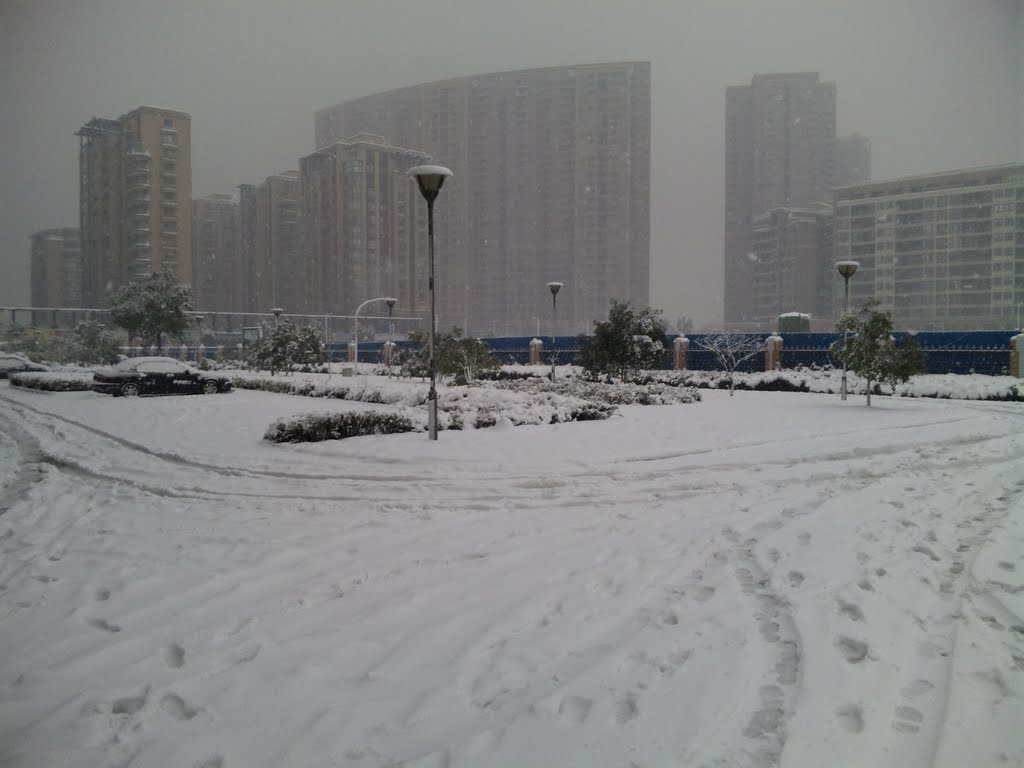 Binjiang, Hangzhou, Zhejiang, China by tomo xiaotian