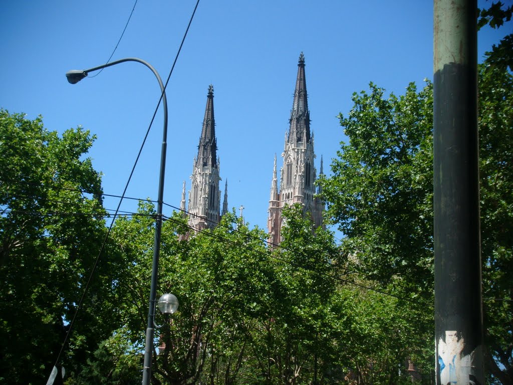 Torres entre los árboles by Walter Carrizo