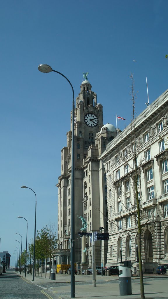 Royal Liver Building, Liverpool by Joe Collison