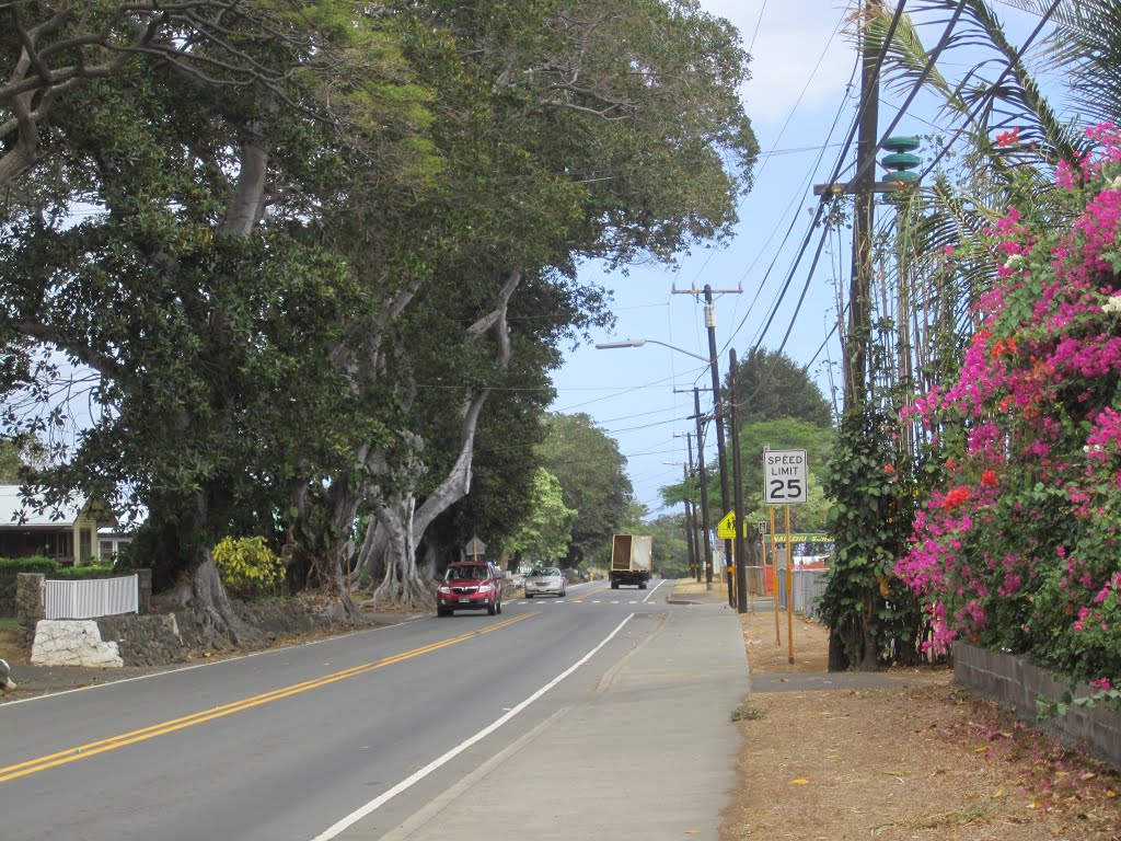 Road into Naalehu by bamslerc