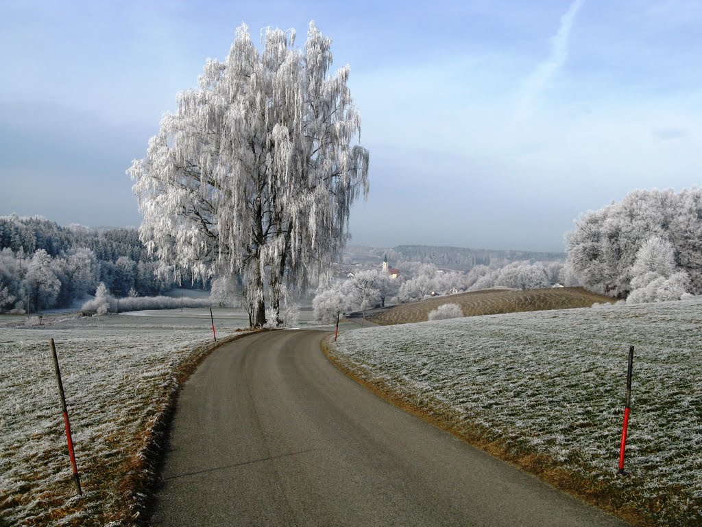 Blick von Haslach nach Glonn by Loader93