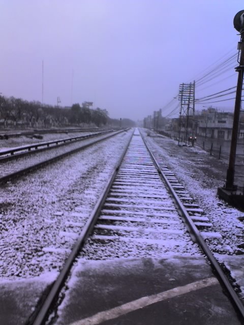 Vias del tren nevadas by geo1357