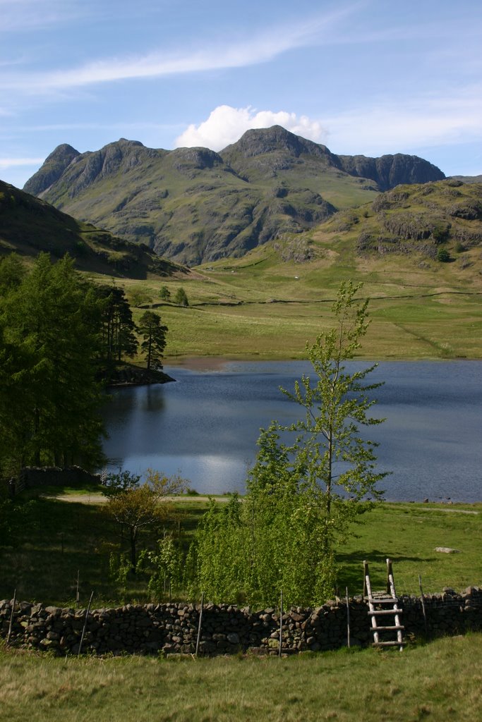 The Langdale Pikes across Blea Tarn, Little Langdale by Pete Taylor