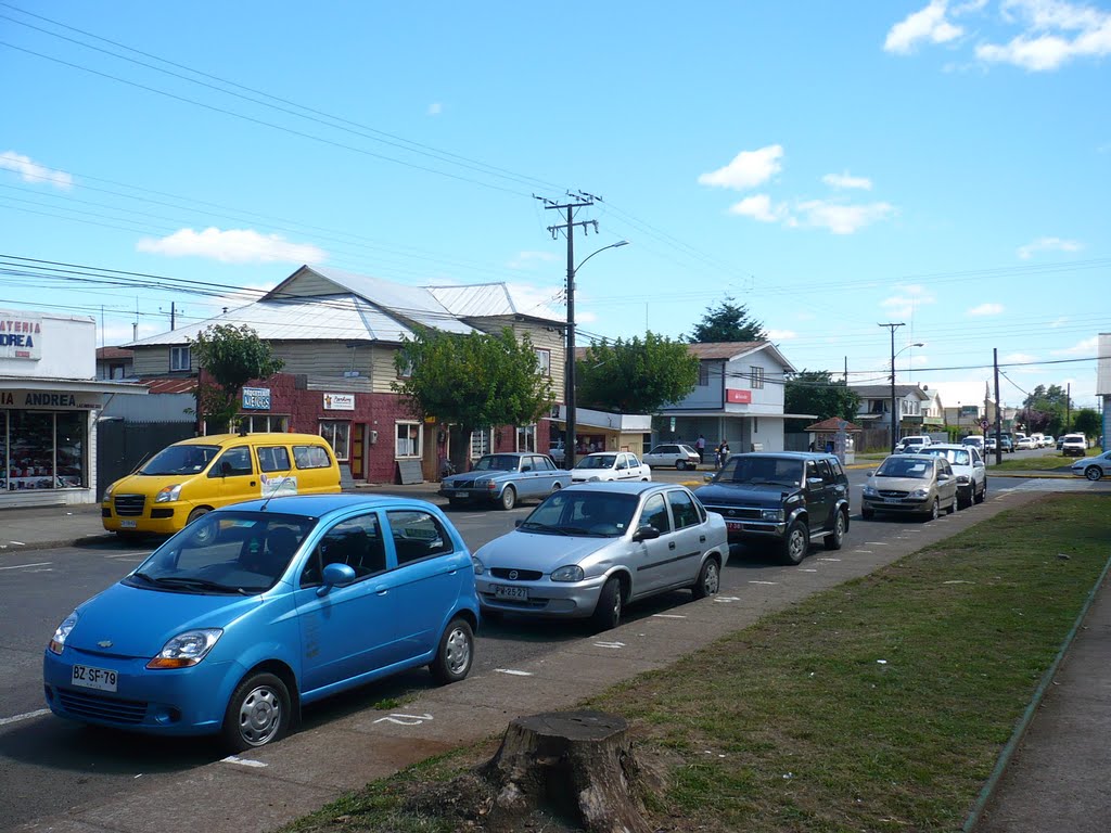 Purranque, X Región, Chile by nils.rogel