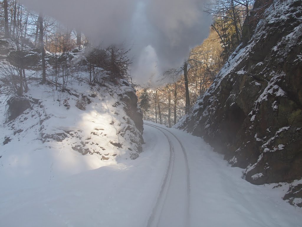 Winterdampf im Rabenauer Grund by kpwg