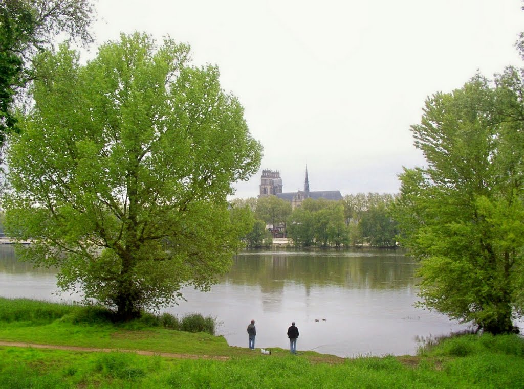 Orléans - La cathédrale depuis la berge de la Loire à St Jean by epaulard59