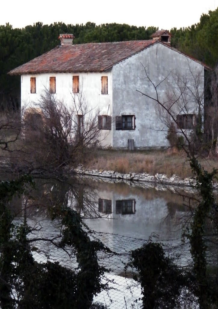 Belvedere di Aquileia (UD) Riflessi by Maurizio Tesan