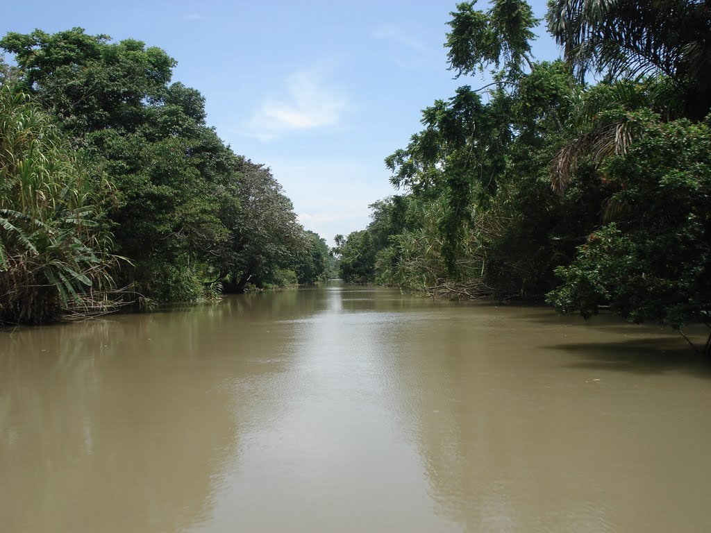 Canales de Tortuguero by Mario Chaves