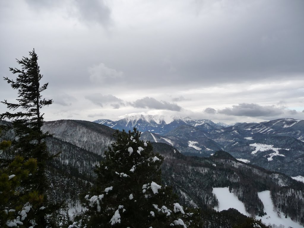 Hohe Wand, view from Kleine Kanzel 1065m (Austria), january 2010 by rdaniel