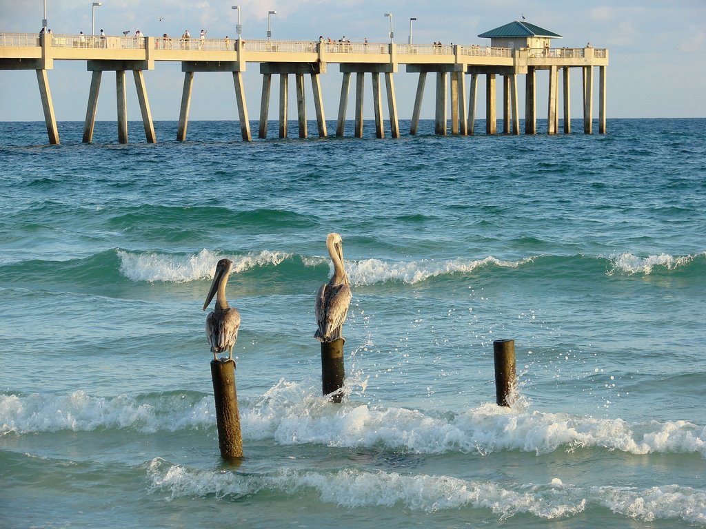 Okaloosa Island, FL, USA by Ron Judy