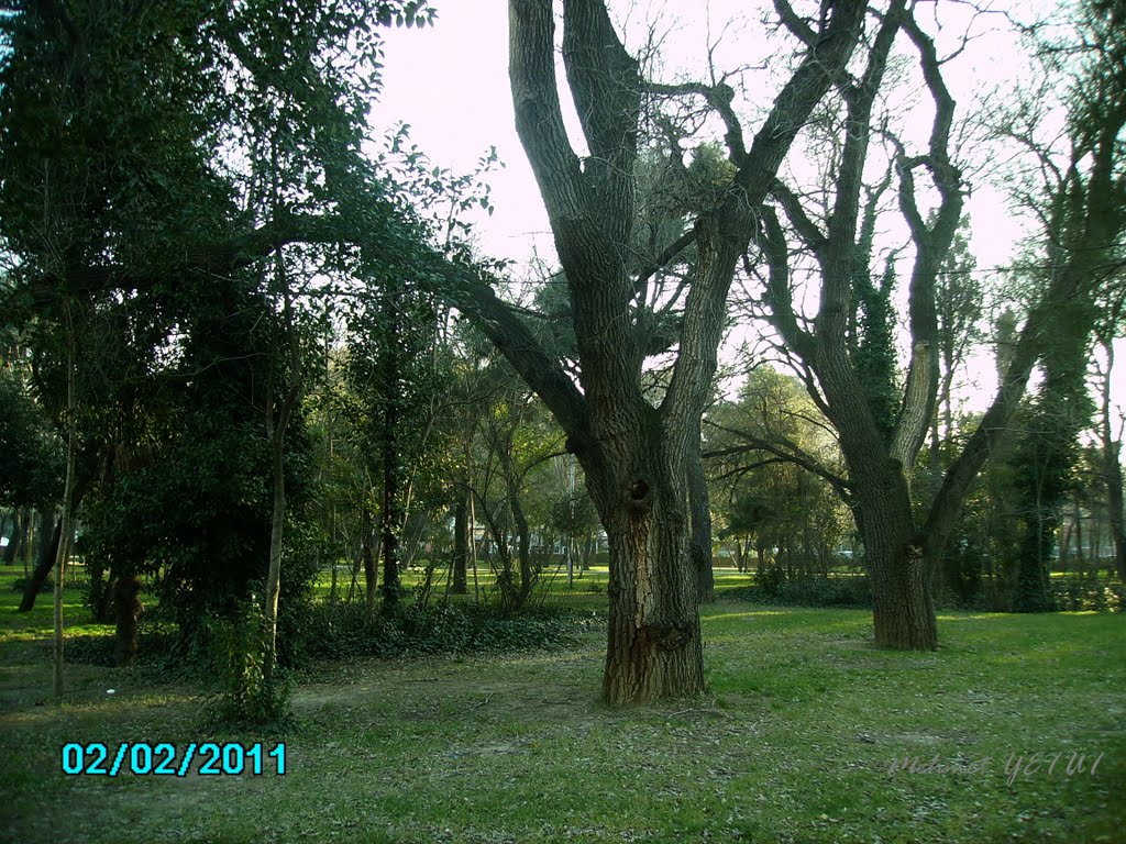 Çanakkale, Halk Bahçesinde Kış (M. Yetüt) by Mehmet Yetüt