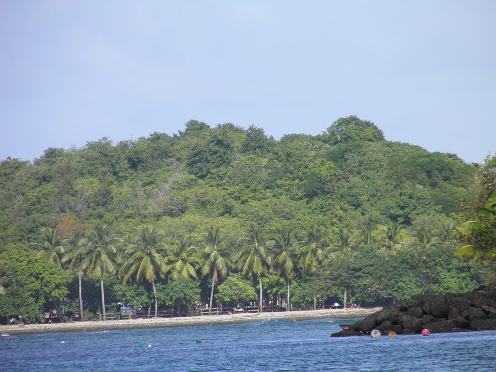 Arrondissement of La Trinité, Martinique by schacke