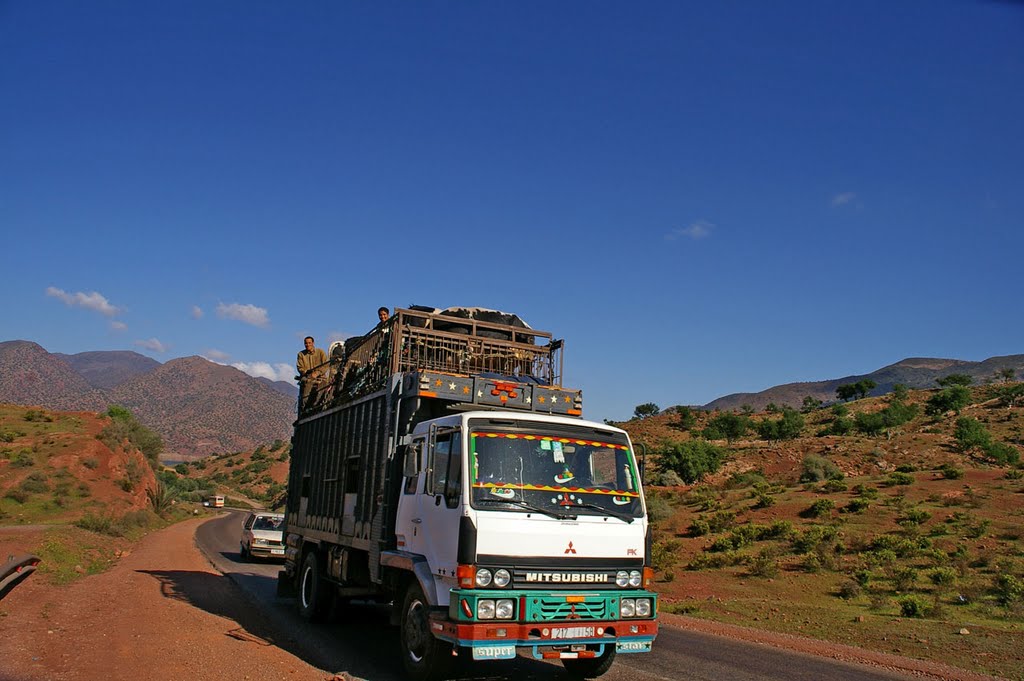 Viehtransport Marrakesch - Agadir by Juergen Herzog