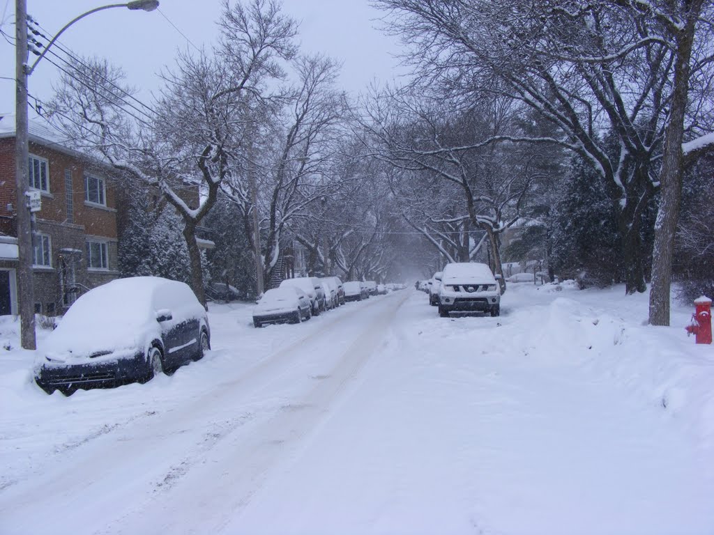 Avenue Jeanne D'Arc, Montréal by pastantqueca