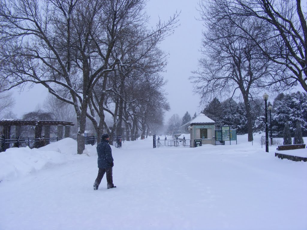 Jardin Botanique, Montréal by pastantqueca