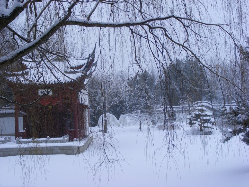 Jardin Botanique, Montréal by pastantqueca