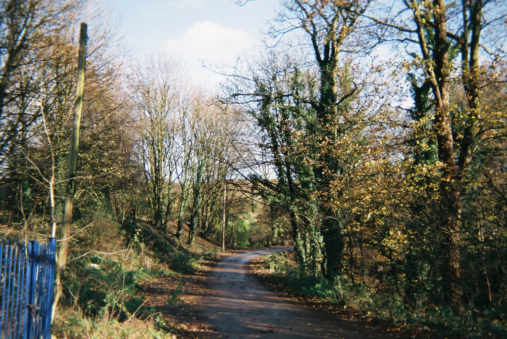 Hogg's Lane, Chorley, Lancashire by Stephen Lenehan