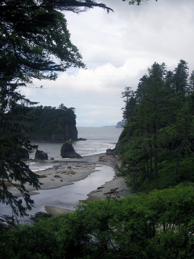 Olympic National Park: Ruby Beach by vendeen