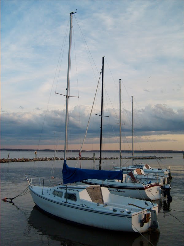 Sail Boats on the Potomac - Leesylvania State Park, Prince William County, VA. by r.w.dawson