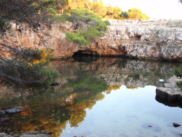 Dead Sea, Lokrum by G. E. Hodgkinson