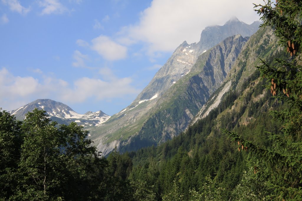 Branche d'en Haut - Val Ferret - Valais by kobus