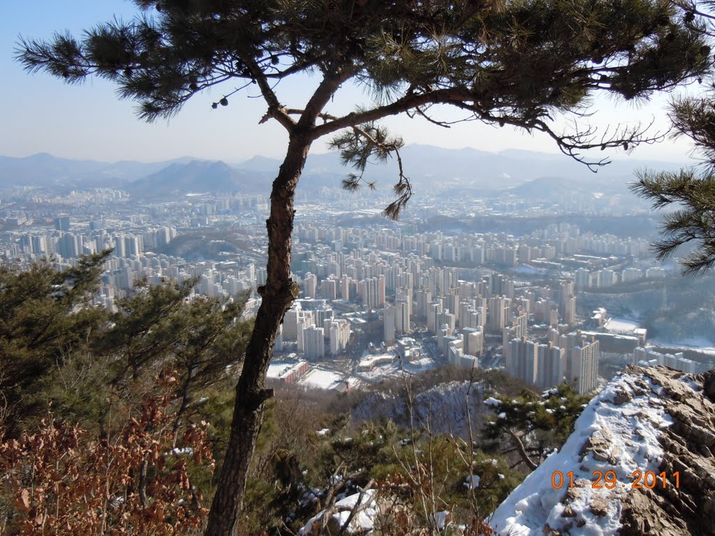 View from Mt. Suri 수리산 전경 by plumgarden