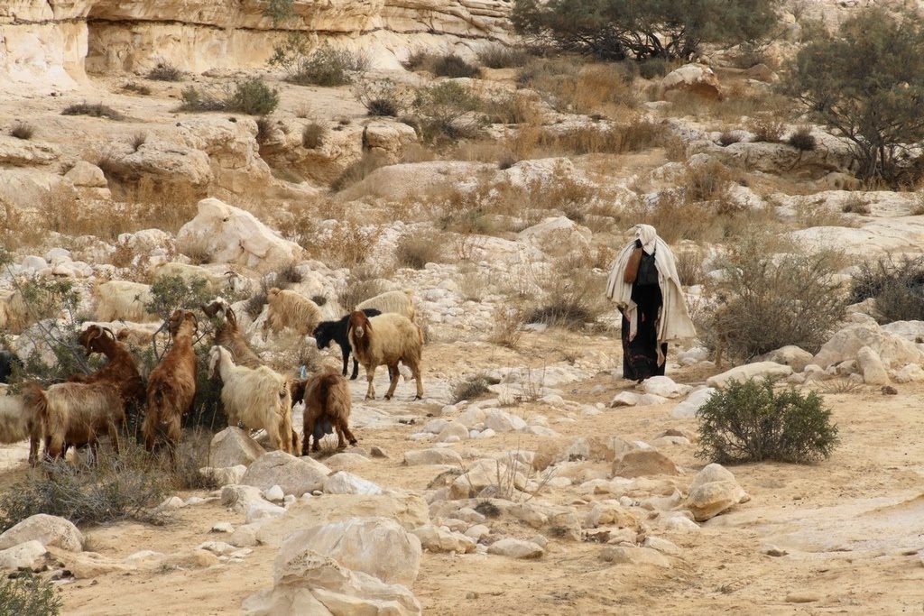 Israel. Nahal Tzin. Bedouin women by Igor Svobodin