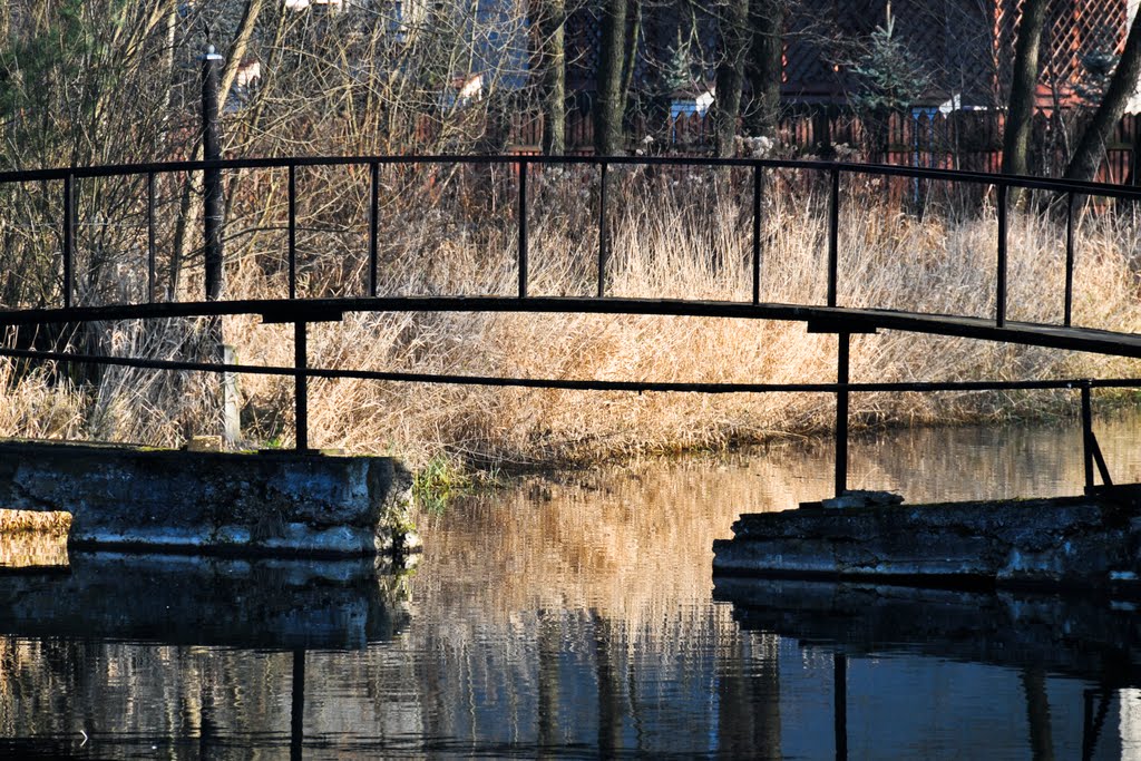 Footbridge by Rava