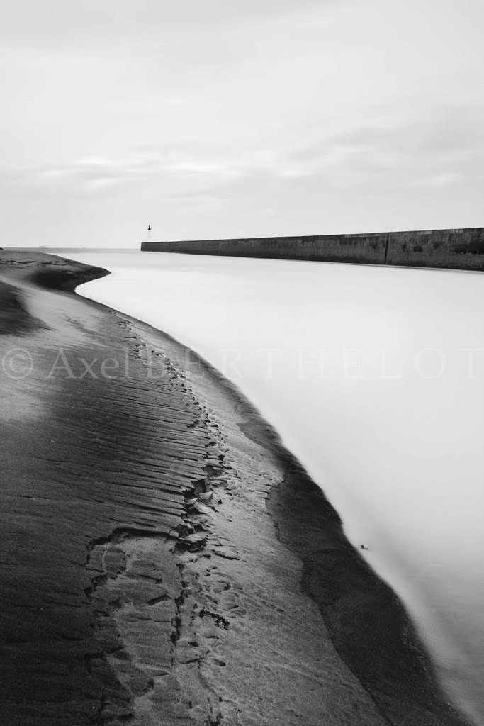 Opposition by Oleron photography