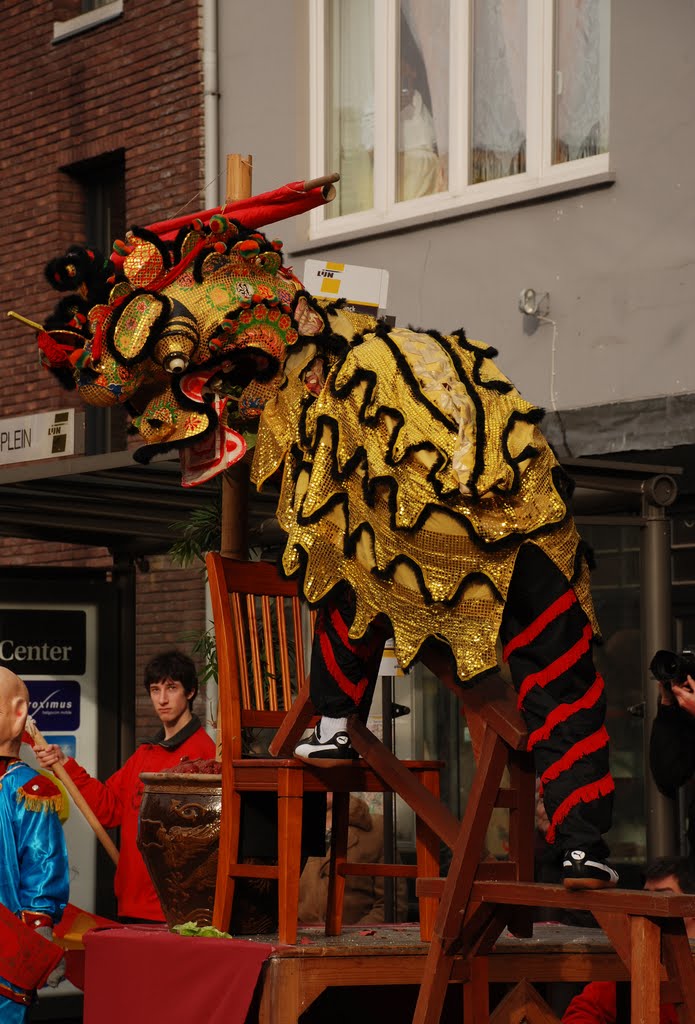 3 February 2011, Chinese New Year in Antwerp by larry_antwerp